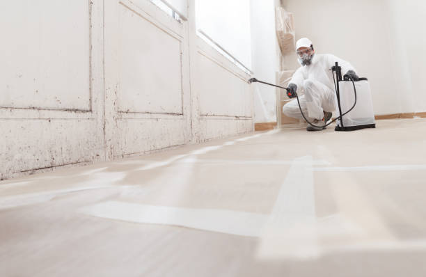 24/7 Emergency Basement Mold Remediation experts in Crapo, MD